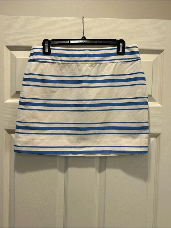 Women's White and metallic Blue Striped Cotton Skirt