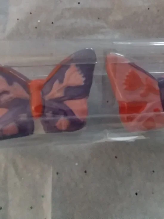 Butterfly salt & pepper shakers
