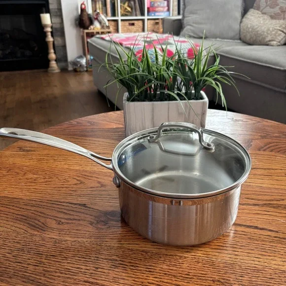 Cuisinart Stainless Steel Saucepan with Glass Lid Silver Professional Cookware