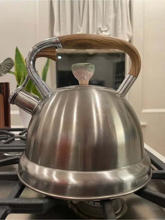 Classic Stainless Steel Whistling Tea Kettle with Wood-Effect Handle - Silver