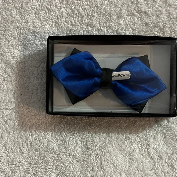 Tytus Ties Blue Satin Willpower Bow Tie for Boys