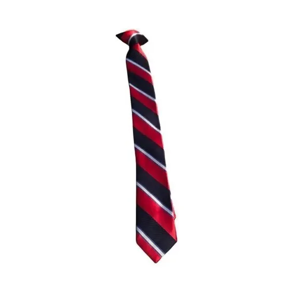 Boys Clip On Tie