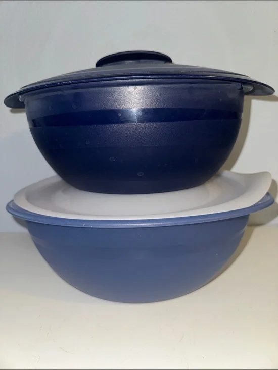 Vintage Tupperware Insulated Oval Server Bowls 4946A  Microwaveable Hot/Cold
