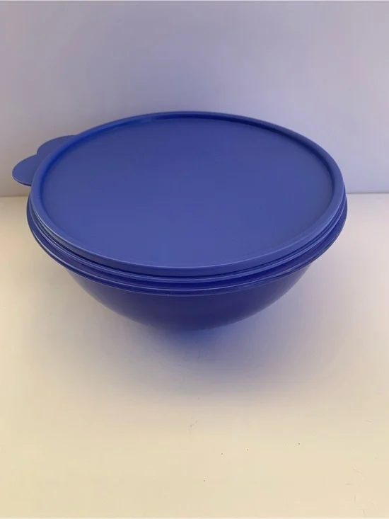 Navy  Plastic Storage Bowl with Lid  2L 8 3/4 Cups