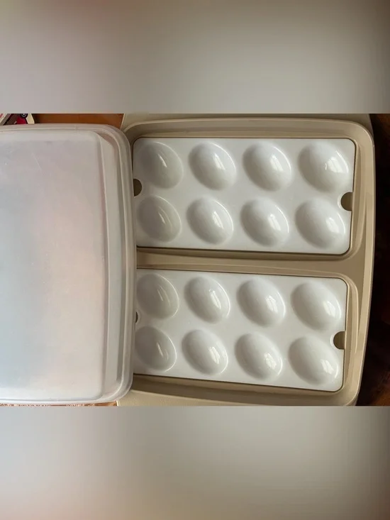 1970s Vintage Tupperware Deviled Egg Container with Lid Made in USA