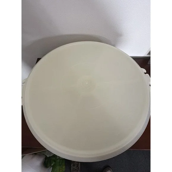 Tupperware Party Trays Set Of 2 With Lids