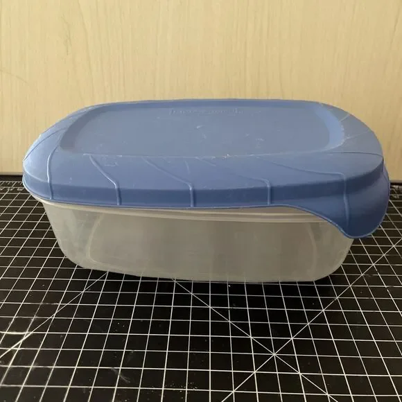 Rubbermaid Servin Saver Blue Easy Tab Lid 553J 553K Size D 9-3/4” X 6-1/2”