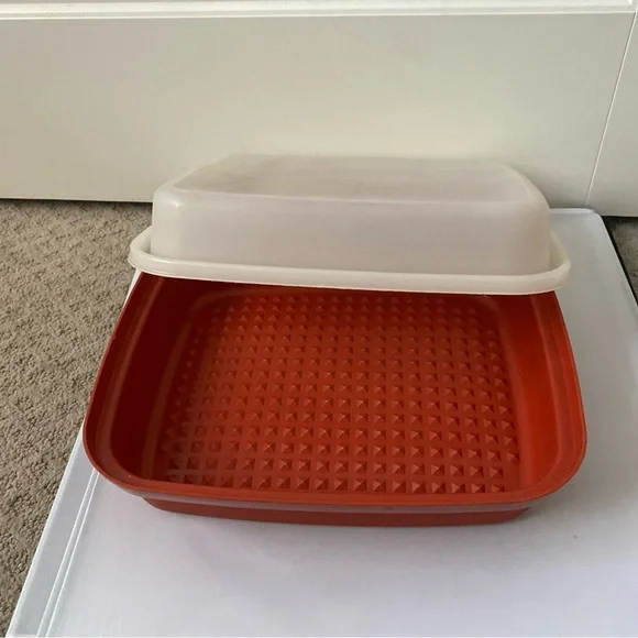 Tupperware large marinate dish