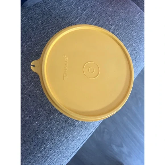 Tupperware bowl with lid 1842-9 and 227-24
