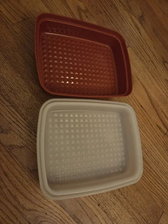 Vintage Made In the USA Tubberware Marinade Container (6.5 in X 8.5 in)