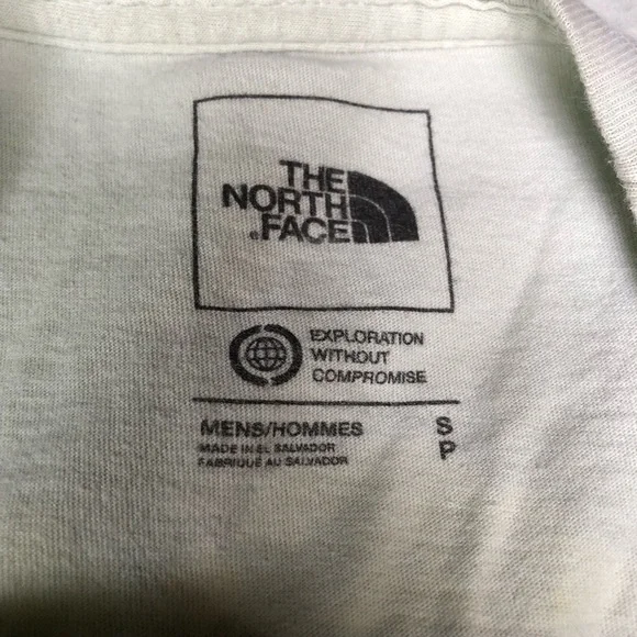 The North Face Men's SM Proud Tee in Misty Sage Snow