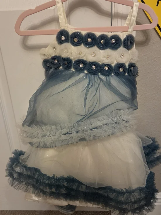 Girls Blue and White Floral Tulle Party Dress