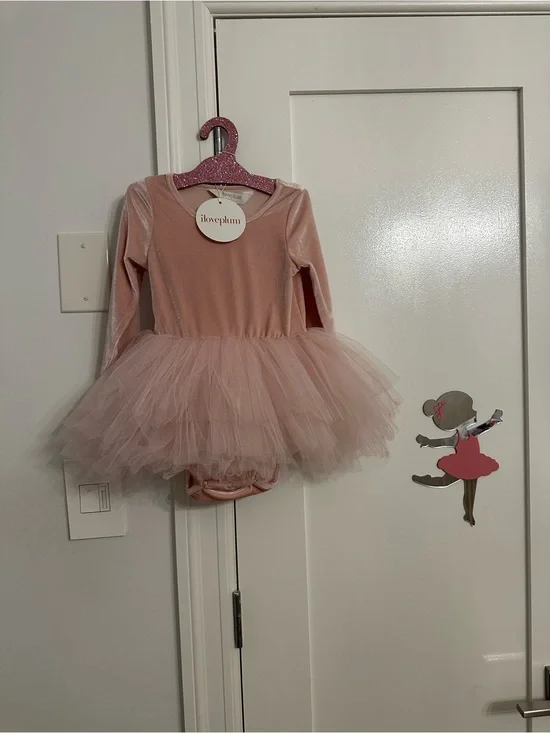 Iloveplum velvet Pink Tulle Ballet Tutu Dress