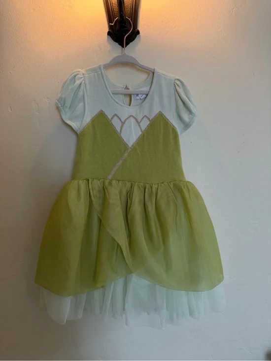GAP Light Green Tulle Princess Costume Dress