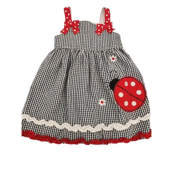 2T Emily Rose Ladybug dress