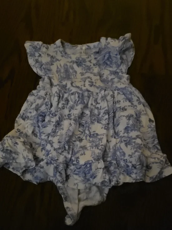 Posh Peanut Briar Blue Floral Ruffle Baby Dress