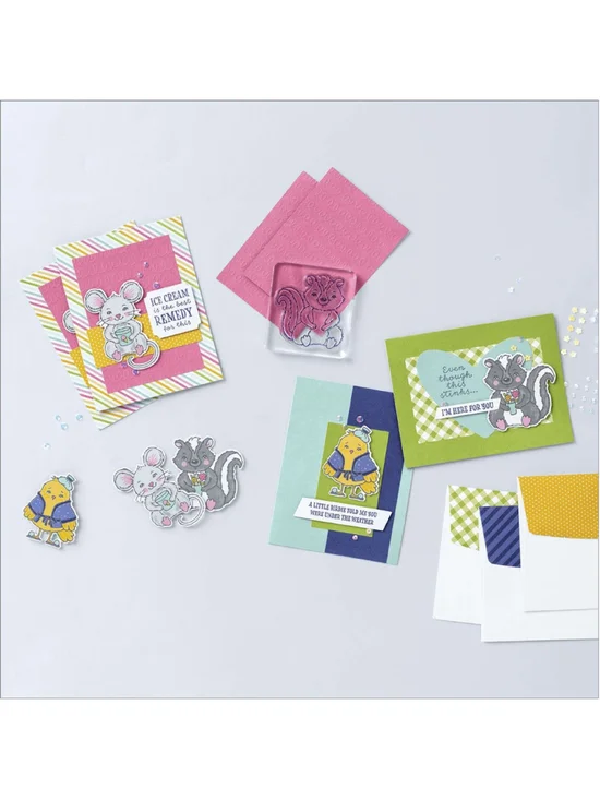 Stampin Up The Best Remedy Kit