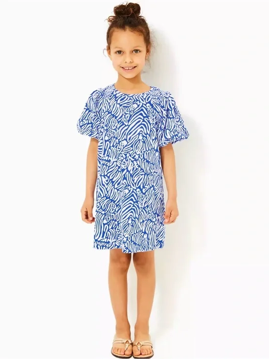 Size Large Lilly Pulitzer Rosen T-Shirt Dress in the 