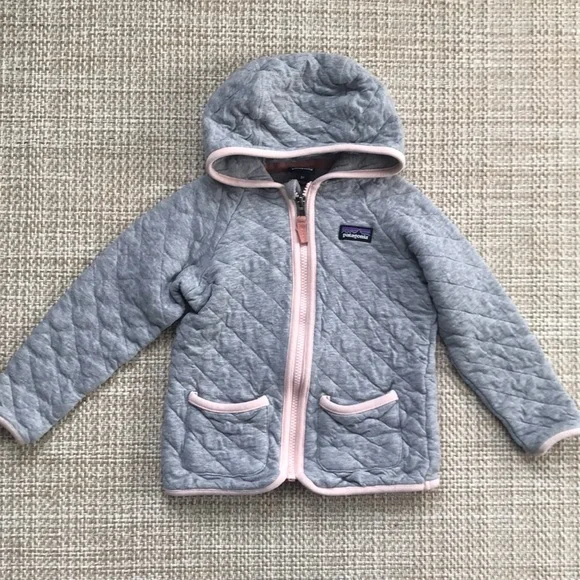 Patagonia Organic Hoody (size 3T)