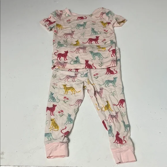 Little Me 18M Big Cat Multicolor Matching Pants and Short Sleeve Top
