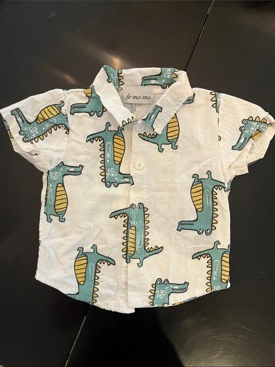 Baby Boys Button Down Collared Shirt