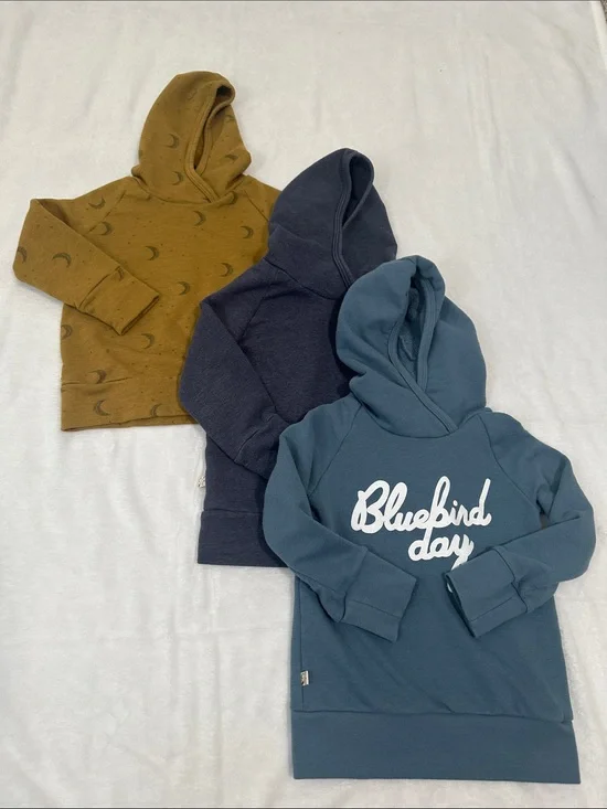 🍓 Bundle of 3 Childhoods Trademark Raglan Hoodies Size 4T