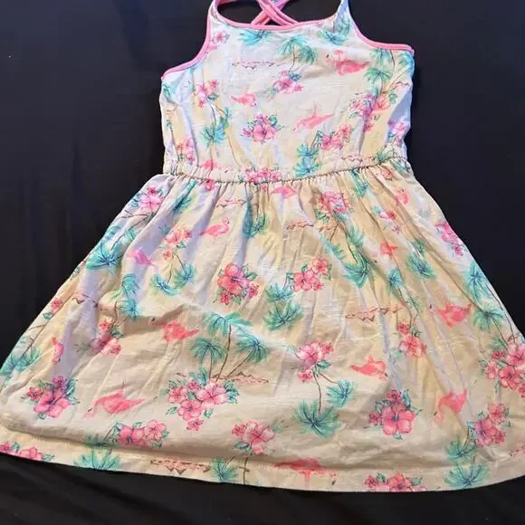 Carters pink and floral dress