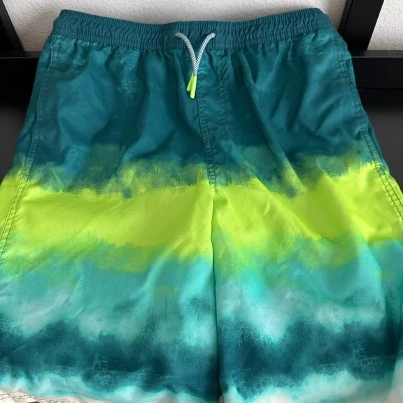 Vibrant Green and Blue Swim Shorts