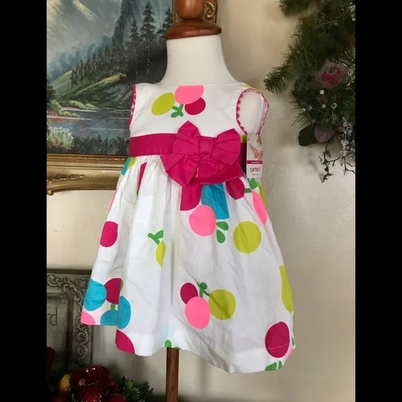 Carter’s Baby Girl Dress NWT