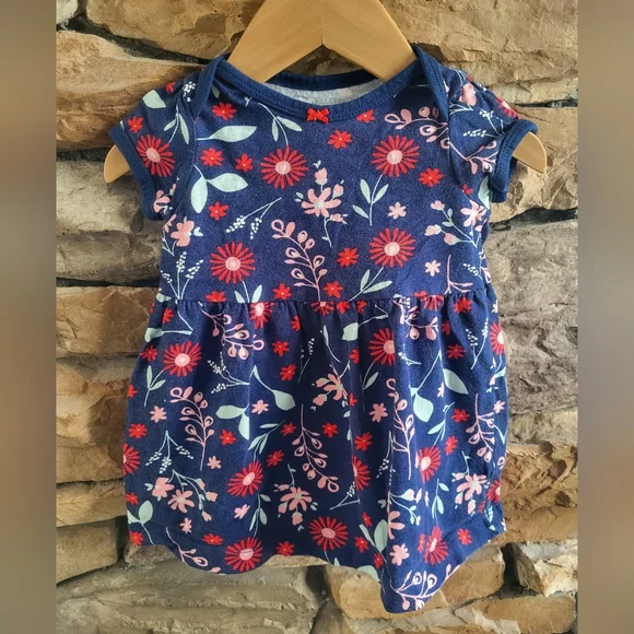 Carter's Blue and Pink Floral Baby Dress