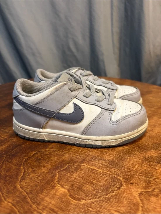 Toddler Nike Dunks