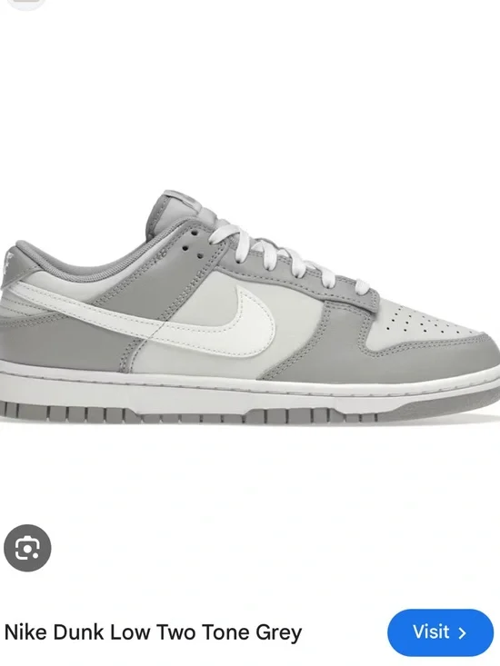 Kids Nike Dunk Low