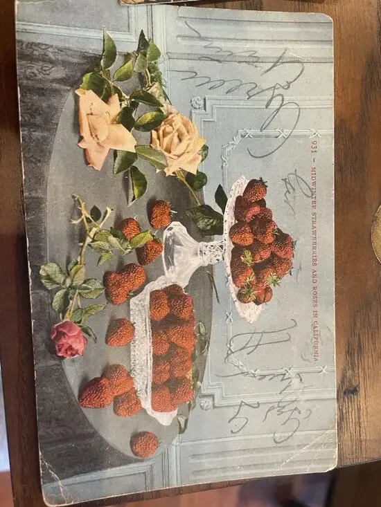 Antique Midwinter Strawberries and Roses California Postcard 1910