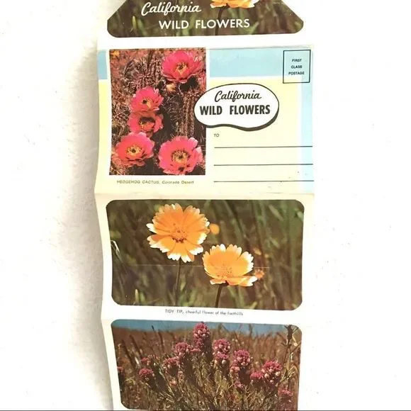 ‎Vintage California wildflower postcard set