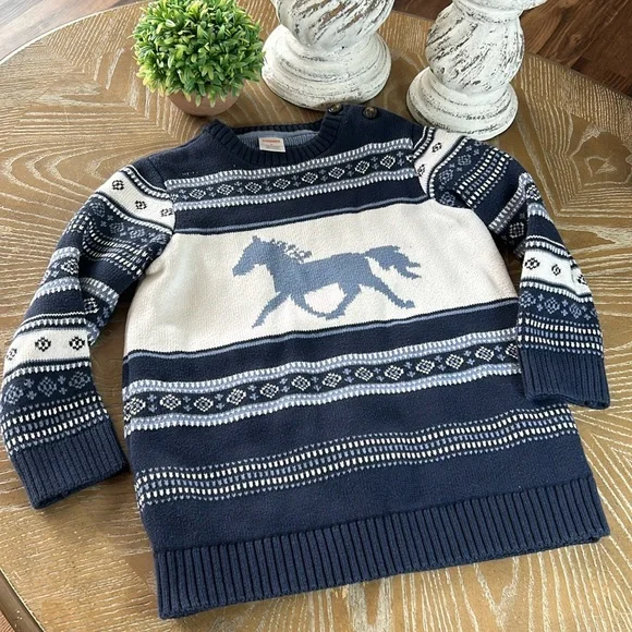 Boys Country Blue Western Cowboy Wold Horse Crewneck Gymboree Sweater size 6