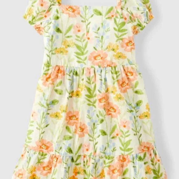 Gymboree Girls 4T Floral Prairie Fields Short Sleeve Dress Smocked Spring Light