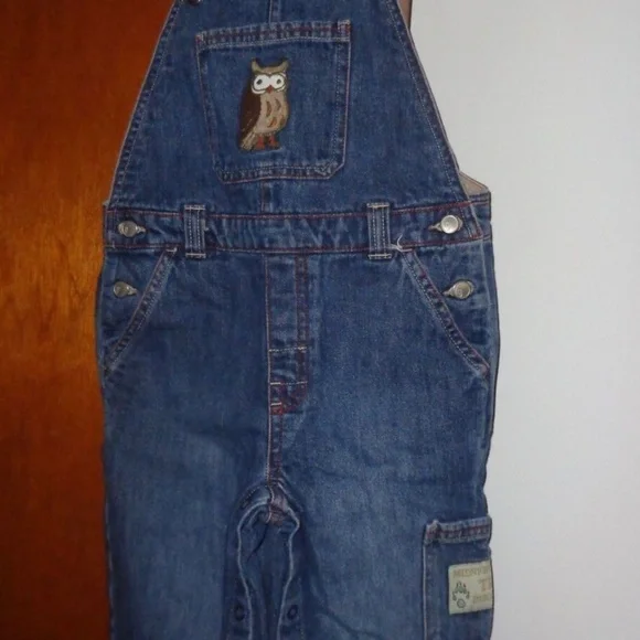 Gymboree Toddler Boy Owl Denim Overalls Size 3T Embroidered