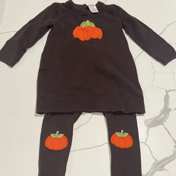 Gymboree Toddler Baby Girls Outfit Sweater and Leggings 18-24M