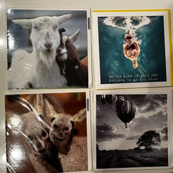 Greeting Cards - Beautiful Photography - Blank‎ (Set of 4 / New)