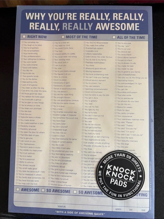 NWT 2 pack of 59+ sheets Knock Knock “Really, Really Awesome