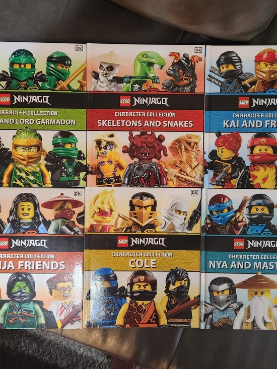 6 LEGO NINJAGO Character Collection - Multi-Color Book Set