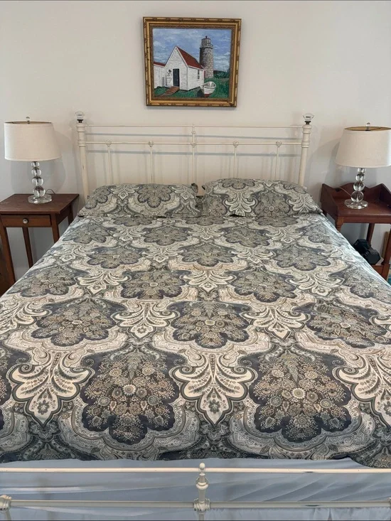 Pottery Barn Jordana Paisley Percale Duvet cover w/ two standard shams.