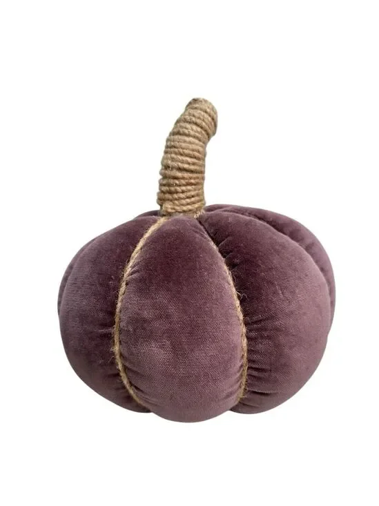 Pottery Barn Velvet Pumpkin Pillow Fig New With Tags 2023 READ