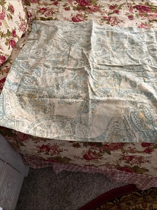 Pottery Barn Paisley 2 Pillow Shams in Light Blue and Cream
