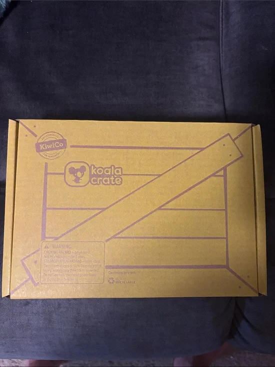 Koala Crate Kids Learning Craft Box  Kit
