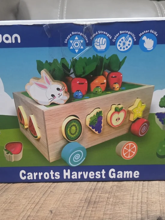 New Carrots Wooden Harvest Game - Kids Wooden Toy - Bin S