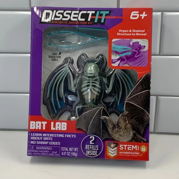 Dissect-It Synthetic Dissection Kit Bat Lab STEM Educational Toy with 2‎ Refills