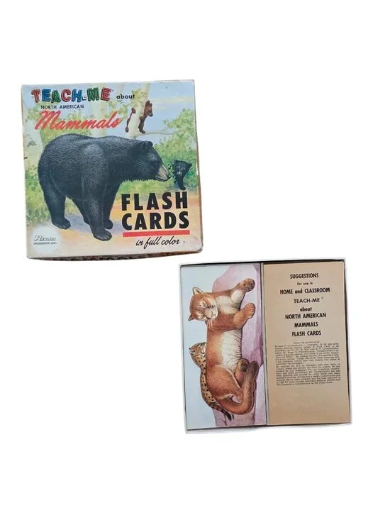 Vintage Teach Me About North American Mammals Flash Cards Full Color Complete