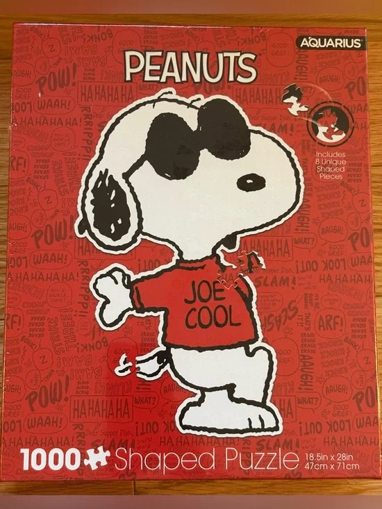 Aquarius Peanuts Snoopy Joe Cool 18.5