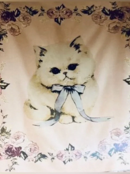 TEEN HOME NWT kitten cat woven throw blanket -50x60